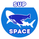 Space logo